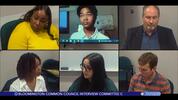 Bloomington Common Council Interview Committee C 11/12