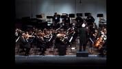 The Camerata Orchestra 