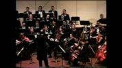 The Camerata Orchestra