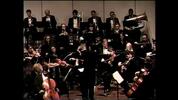 The Camerata Orchestra