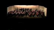The Camerata Orchestra
