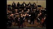 The Camerata Orchestra