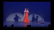 Dancing with the Celebrities 2013